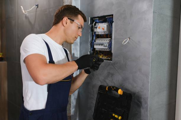 Best Electrical System Inspection  in Silt, CO